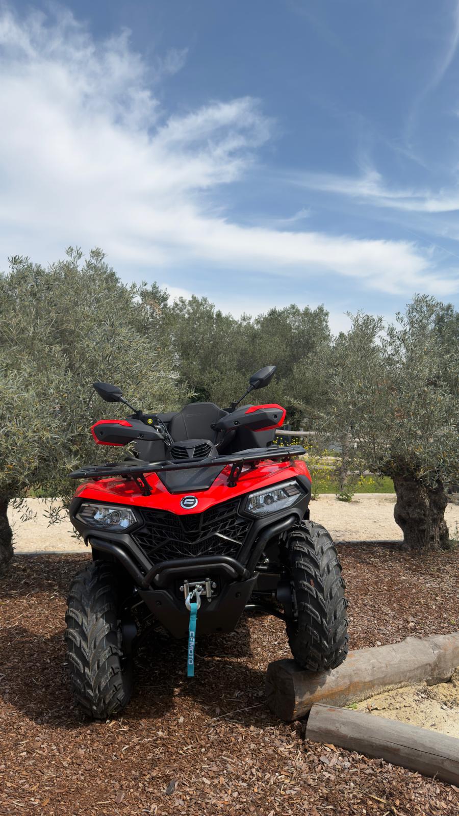 Quad zwischen Olivenbäumen